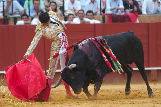 Sergio Flores. (FOTO: Matito)