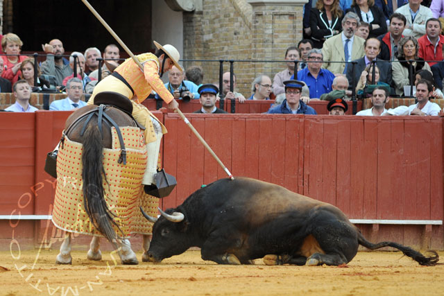 Los toros de El Ventorrillo ha devuelto a la Maestranza la triste realidad de lo más habitual. (FOTO: Matito)