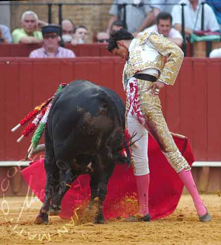 Sergio Flores. (FOTO: Matito)