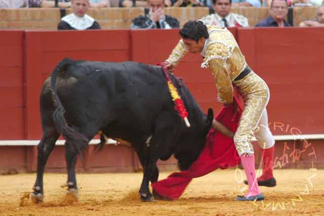 Sergio Flores. (FOTO: Matito)