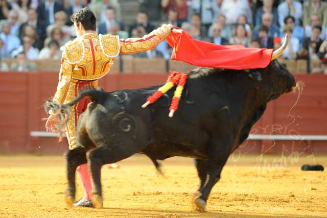 Miguel Ángel Perera.