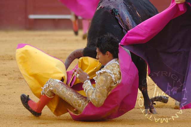 Sergio Flores. (FOTO: Matito)