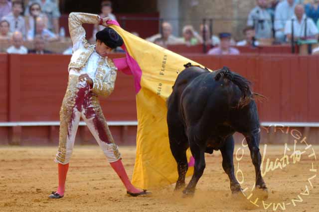 Sergio Flores. (FOTO: Matito)