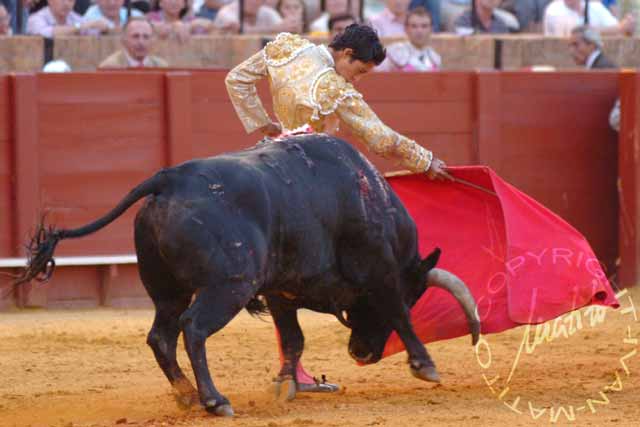 Sergio Flores. (FOTO: Matito)