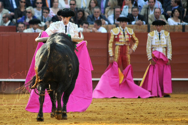 Alejandro Talavante.