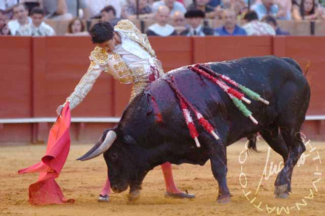 Sergio Flores. (FOTO: Matito)