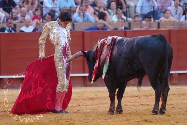 Sergio Flores. (FOTO: Matito)