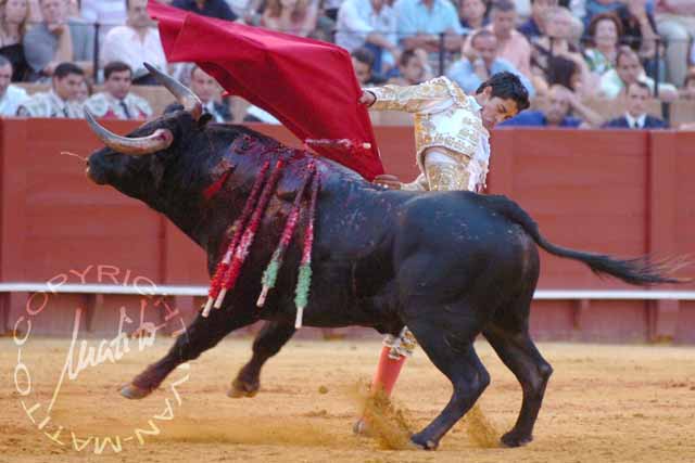 Sergio Flores. (FOTO: Matito)