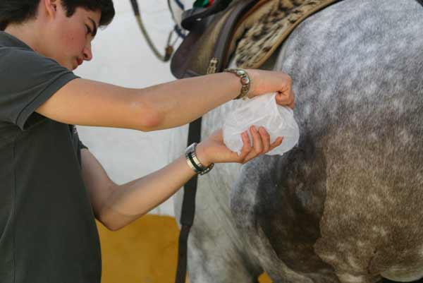 Un mozo de cuadra atiende un pitonazo recibida por un caballo en el transcurso de la lidia. (FOTO: Javier Martínez)