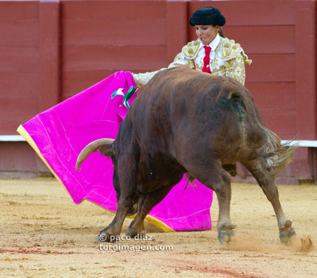 Montoya, en soledad como en el poema de Lorca (FOTO:Paco Díaz/Toroimagen.com)