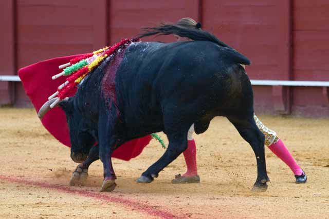 ¿Dónde está Vanesa? (FOTO:Paco Díaz/Toroimagen.com)