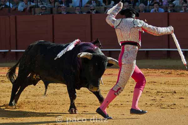 Dificultades en banderillas.