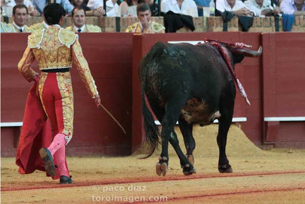 El mexicano Israel Téllez 'persigue' al toro de Miura, que rehúye cualquier pelea. (FOTO: Paco Dïaz/toroimagen.com)