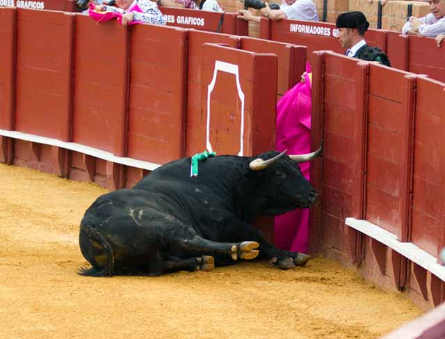 Con peligro de derrumbe. (FOTO: Paco Díaz/toroimagen.com)