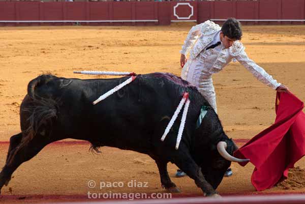 Alejandro Talavante.