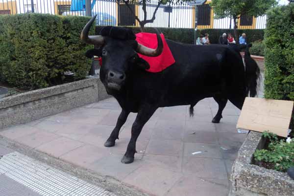 ¡Cuidado! ¡Que uun toro se ha escapado de la Maestranza! (FOTO: Javier Martínez)