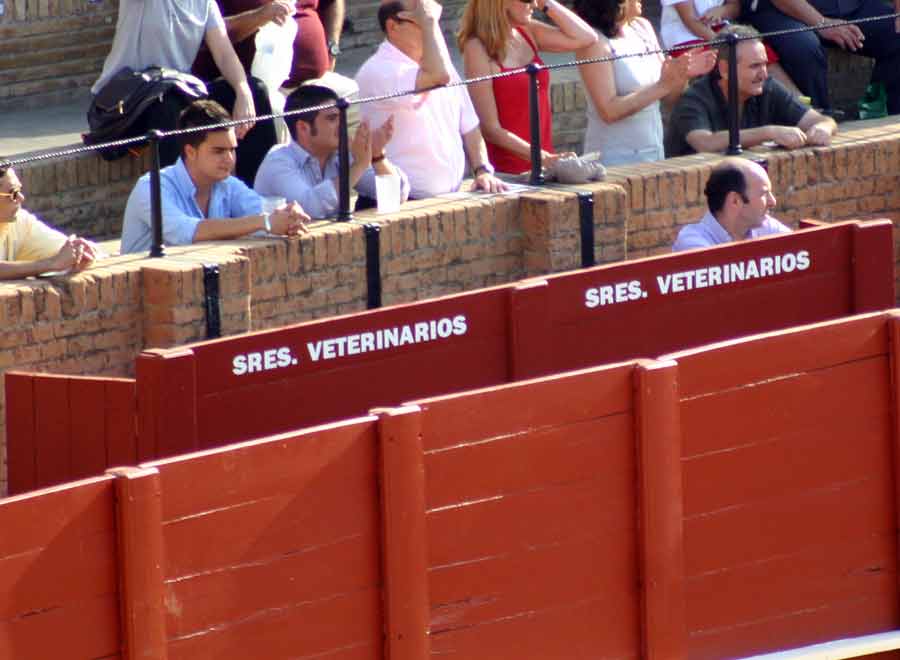 Y el burladero de veterinarios, pues también con todo el espacio sobrante; ¿o será cosa del partido del Sevilla...?. (FOTO: Javier Martínez)