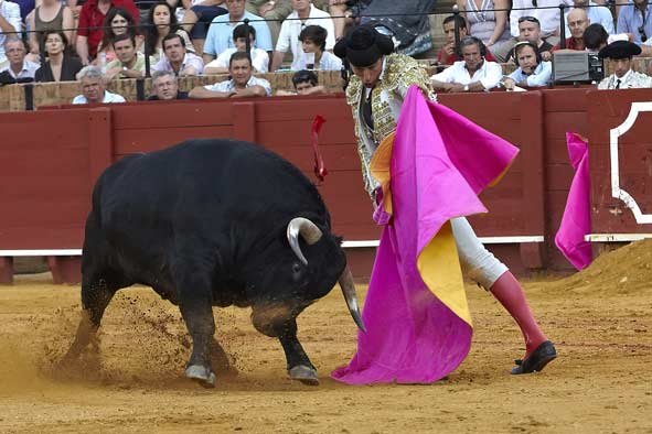 Manuel Fernández.