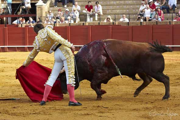 Mario Alcalde.