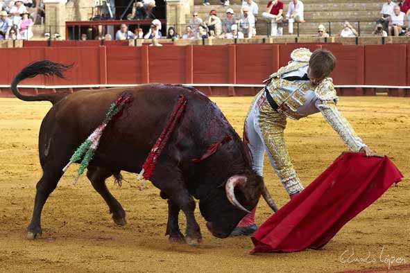 Mario Alcalde.