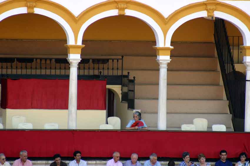 La ganadera de Marqués de Albaserrada, afición a prueba de calor. (FOTO: Javier Martínez)