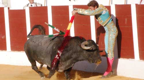 El sevillano Manuel Escribano en un apretadísimo par de banderillas en mayo en Antequera, con un toro de Victorino Martín. (FOTO: desdelcallejon.com)