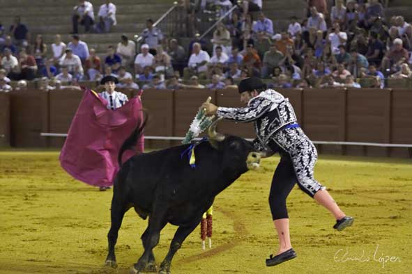 Un banderillero en apuros.