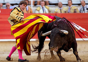 El sevillano Antonio Barrera toreando con una senyera catalana como muleta. (FOTO: Efe)