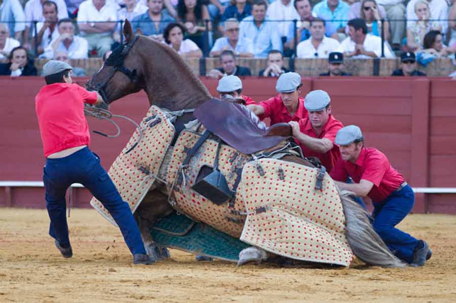 Los monosabios se afanan en levantar al caballo derribado. (FOTO: Paco Díaz/toroimagen.com)