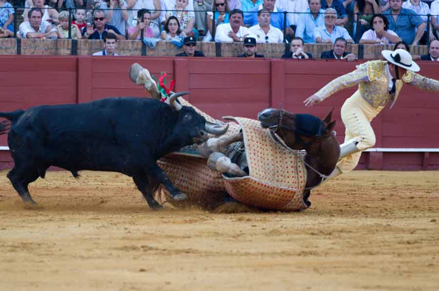 Un espectacular derribo, con el picador pasando algún apuro. (FOTO: Paco Díaz/toroimagen.com)