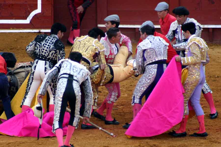 Enorme susto y preocupación entre los compañeros. (FOTO: Javier Martínez)