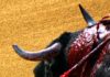 Lamentable imagen, con un toro con el pitón izquierdo completamente destrozado, lleno de lascas y ensangrentado; y no derrotó contra los burladeros. (FOTO: Sevilla Taurina)