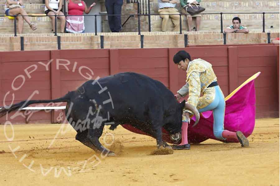 Sergio Flores.