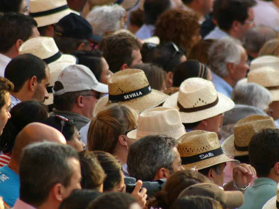 Nacen, crecen y en los puestos exteriores se reproducen... (FOTO: Javier Martínez)