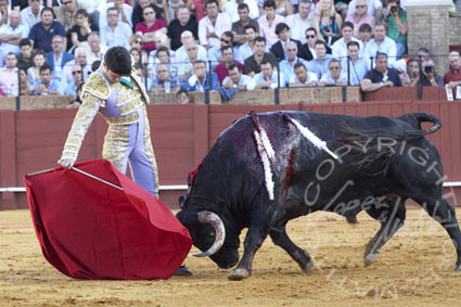 Alejandro Talavante.