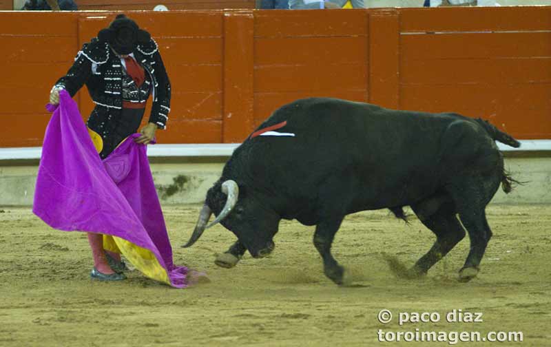 Pies asentados, cintura metida, las muñecas mecen el capote y la barbilla al pecho.