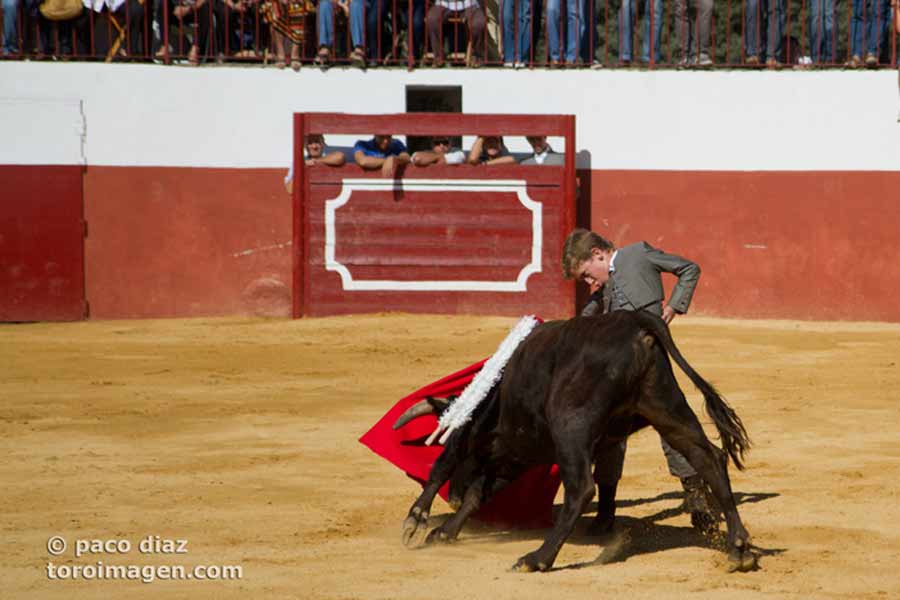 Y así torea este niño prodigio.