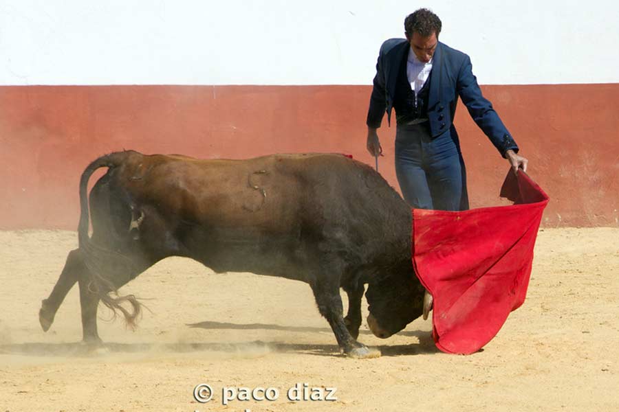 Salvador Cortés en su faena de muleta.