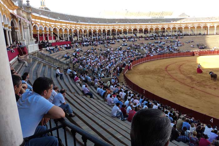 ...y muy poco público en la sombra.