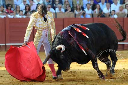 Curro Díaz en San Miguel.