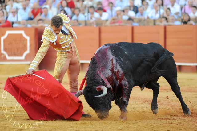 Juan Bautista en el Corpus.