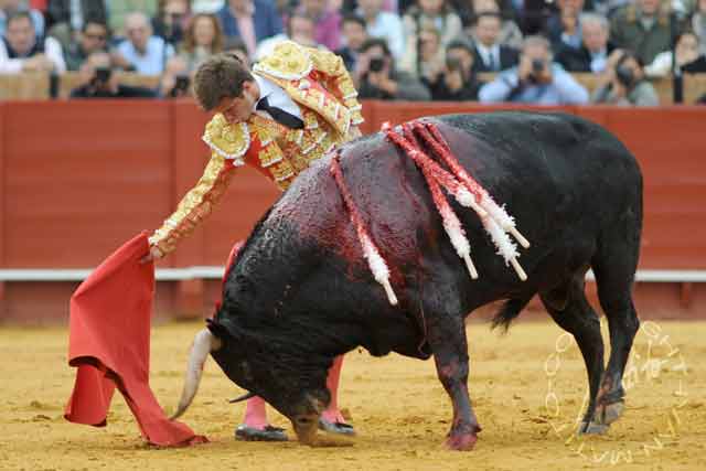 Los de Garcigrande, nobles pero descastados.