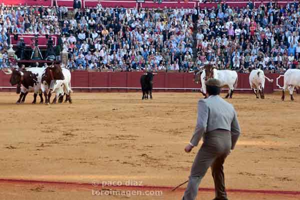 La decepción de Fuente Ymbro. (FOTO: Toroimagen)