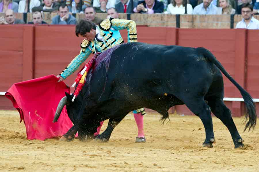 Antonio Barrera.