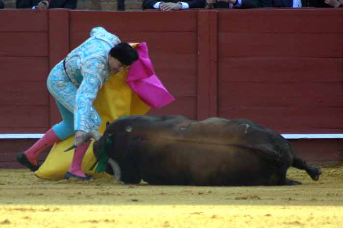 El Boni intenta levantar a un toro para seguir la lidia. (FOTO: Javier Martínez)