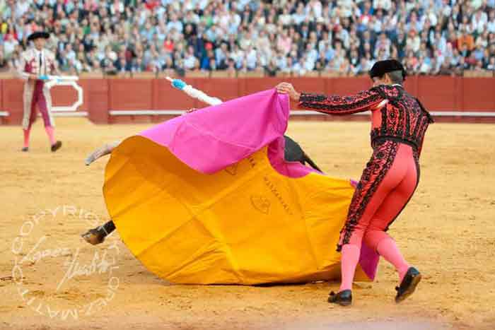 Curro Javier.