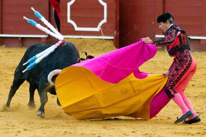 Un capotazo largo y puesto.