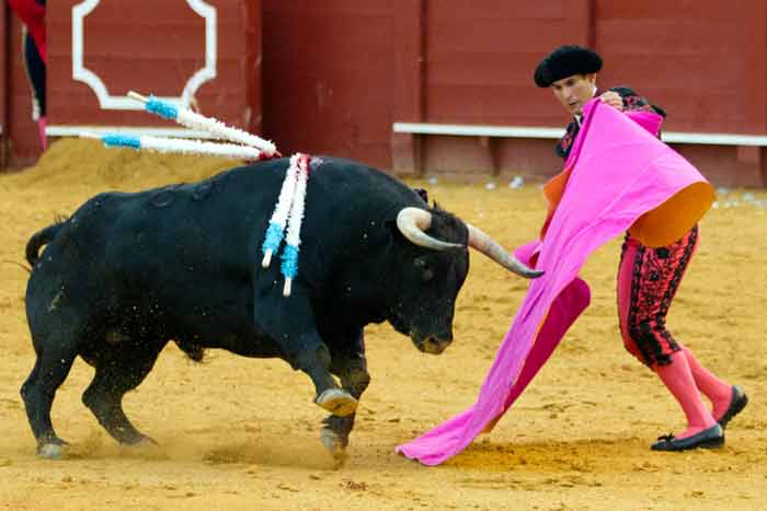 La suavidad de la lidia.