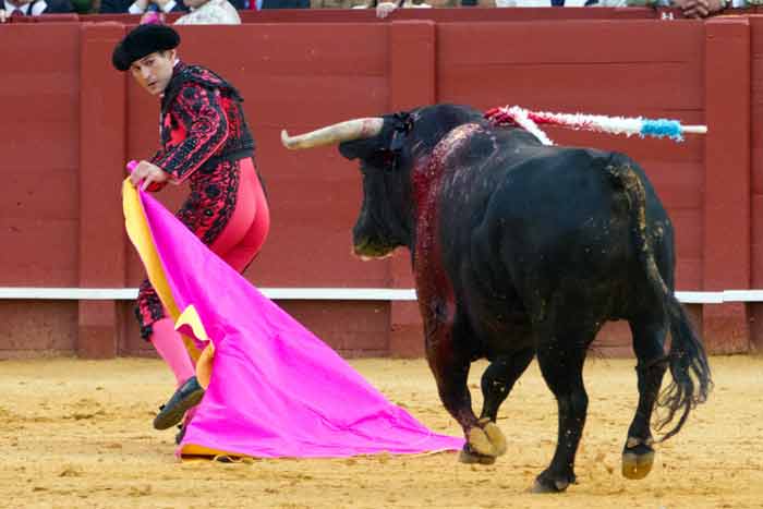 Cerrando al toro a una mano.