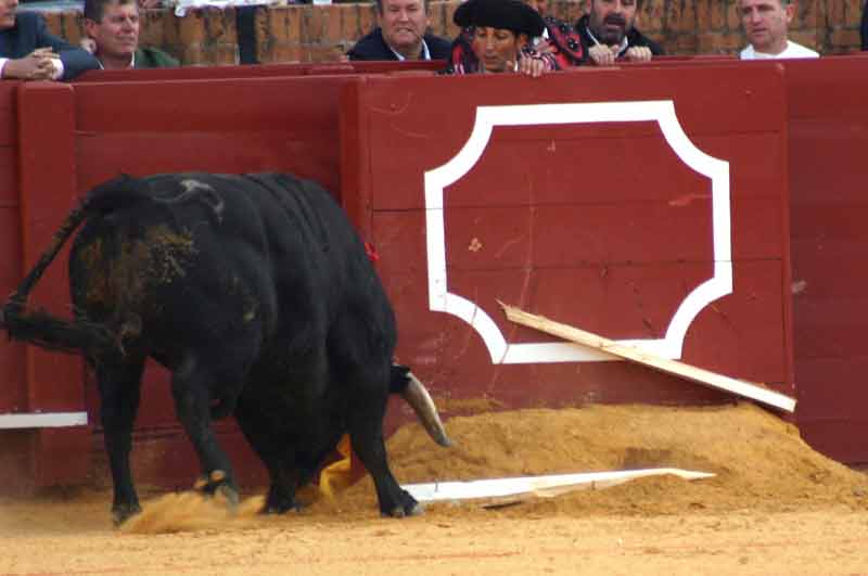 El derrote del toro de Montealto partió en dos este estribo de las tablas.